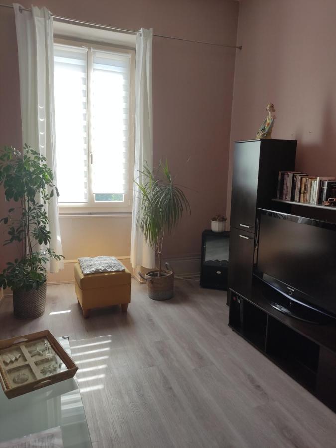 Gite Chanay 80 M2 Tournus 2 Chambres Exteriér fotografie